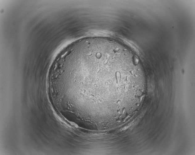 X0000085001471200703191037