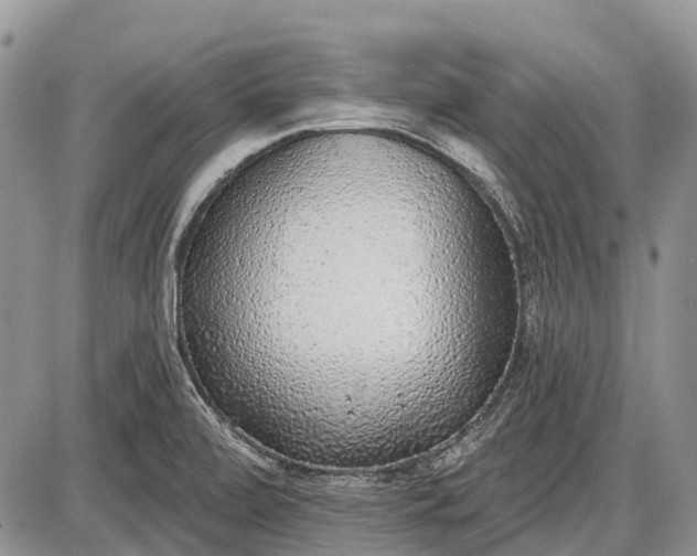 X0000085001472200703191037