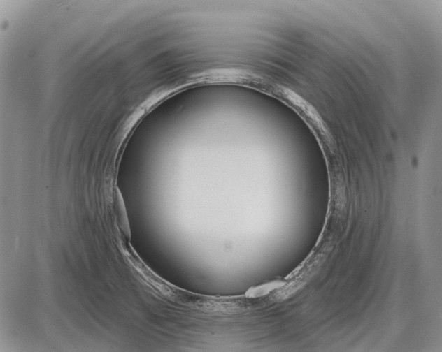 X0000085001473200703191037