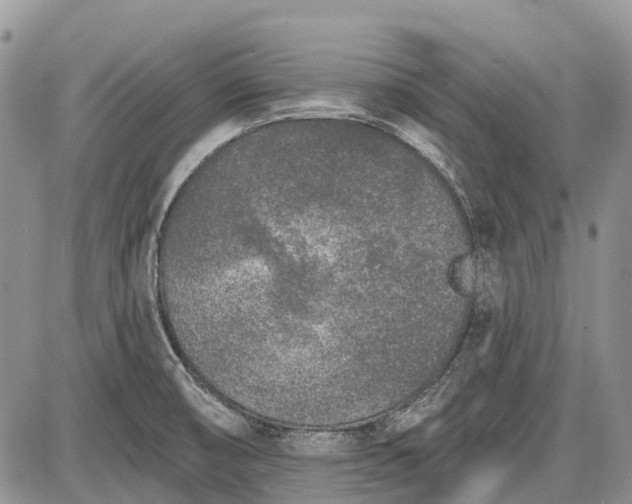 X0000085001474200703191037