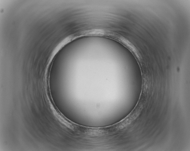 X0000085001475200703191037