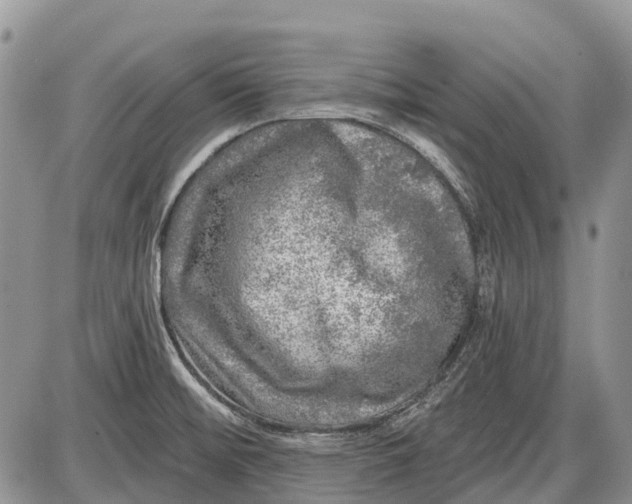 X0000085001476200703191037