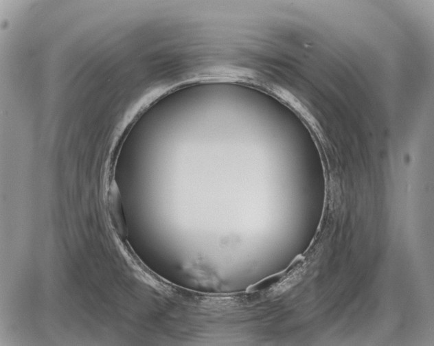 X0000085001477200703191037