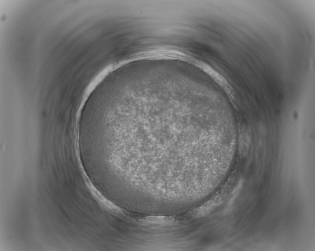 X0000085001478200703191037