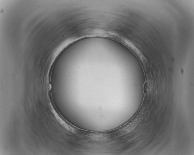 X0000085001479200703191037