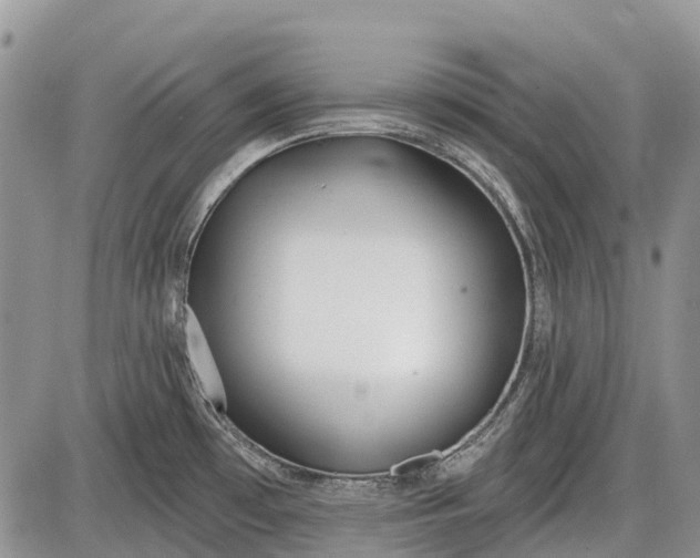 X0000085001481200703191037