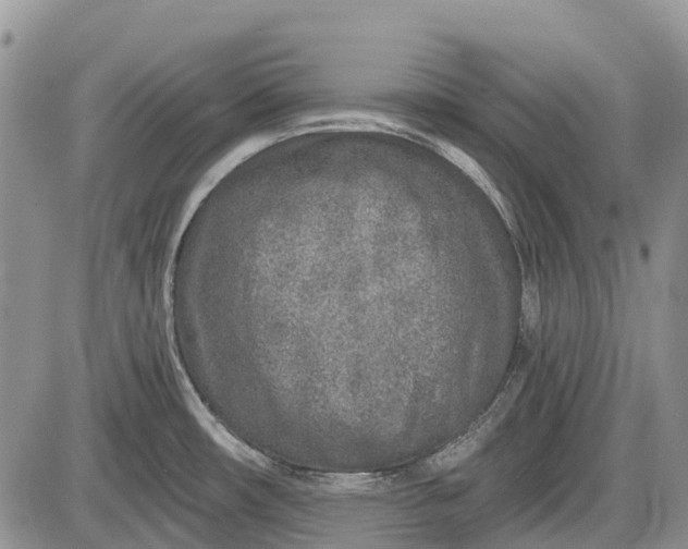 X0000085001482200703191037