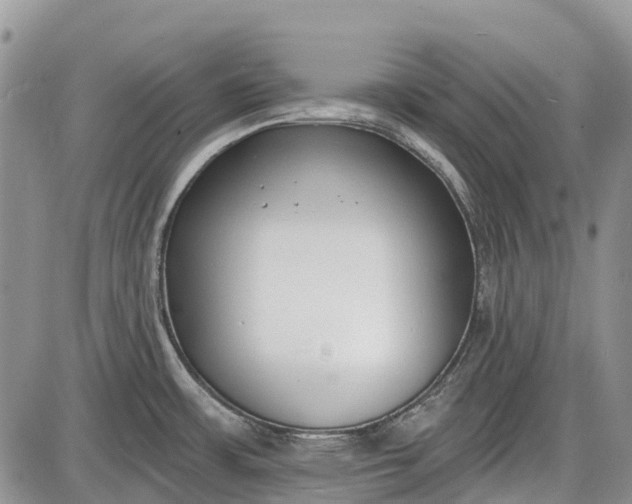 X0000085001483200703191037