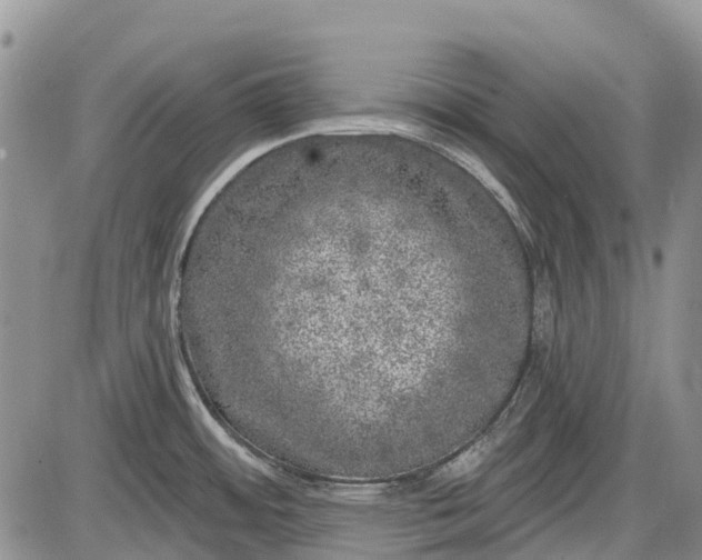 X0000085001484200703191037