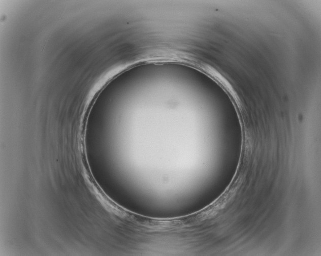 X0000085001485200703191037