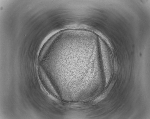 X0000085001486200703191037