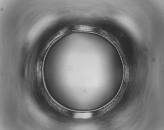 X0000085001487200703191037