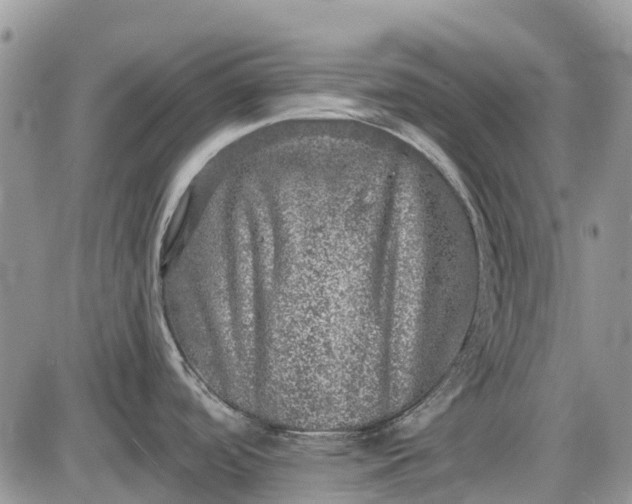 X0000085001488200703191037