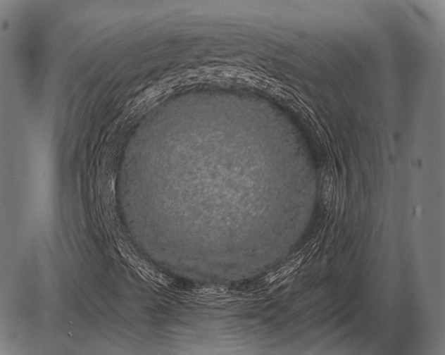 X0000085001489200703191036