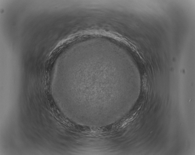 X0000085001494200703191036