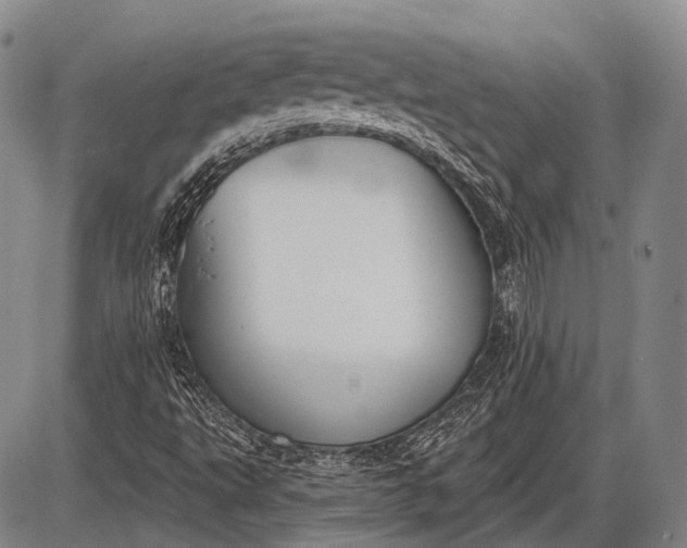 X0000085001495200703191036