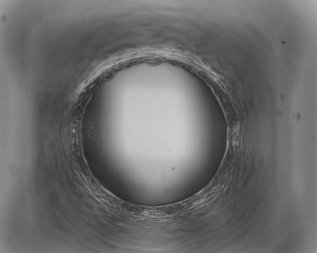 X0000085001496200703191036