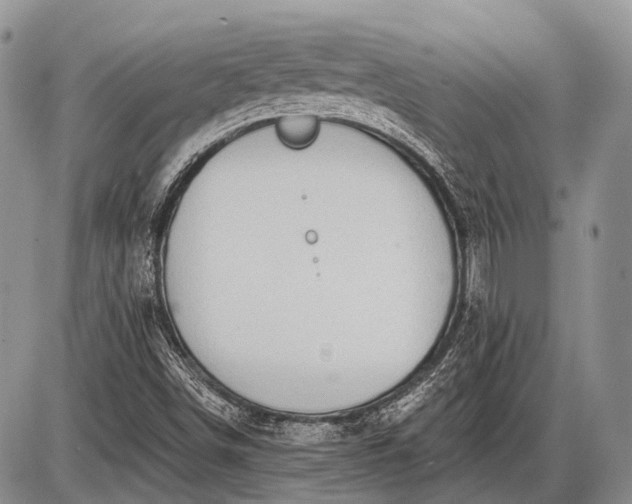 X0000085001498200703191036