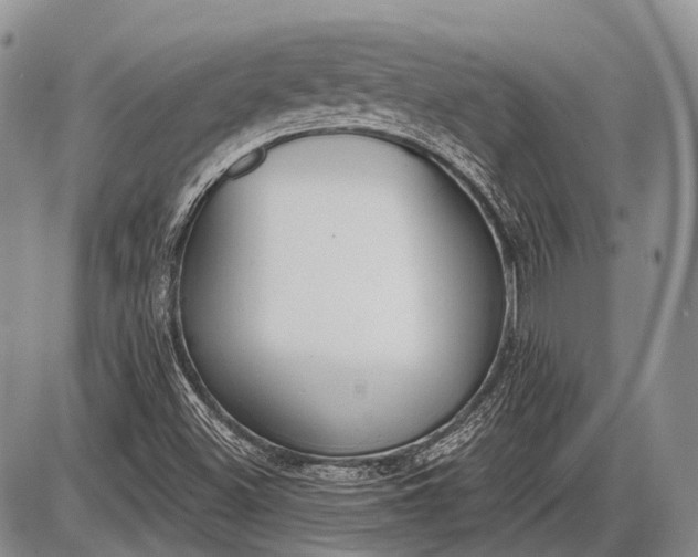 X0000085001500200703191036