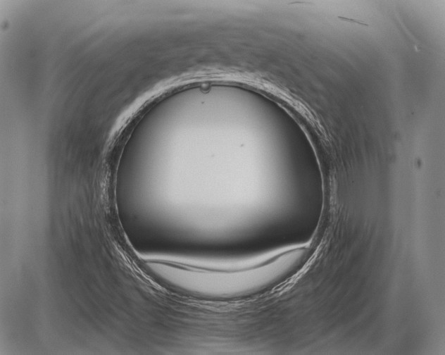 X0000085001502200703191036