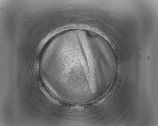 X0000085001503200703191036