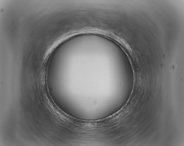 X0000085001504200703191036