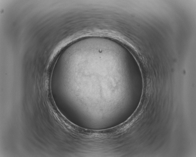 X0000085001506200703191036