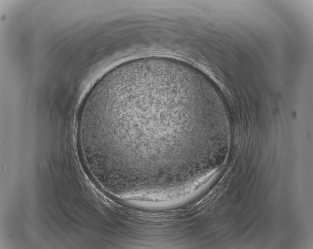 X0000085001508200703191036