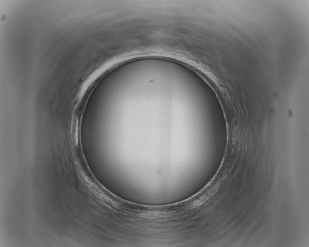 X0000085001510200703191036