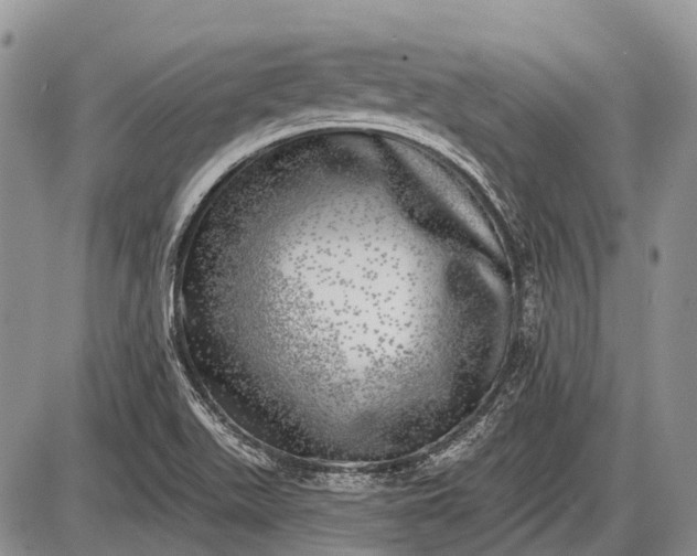 X0000085001511200703191036