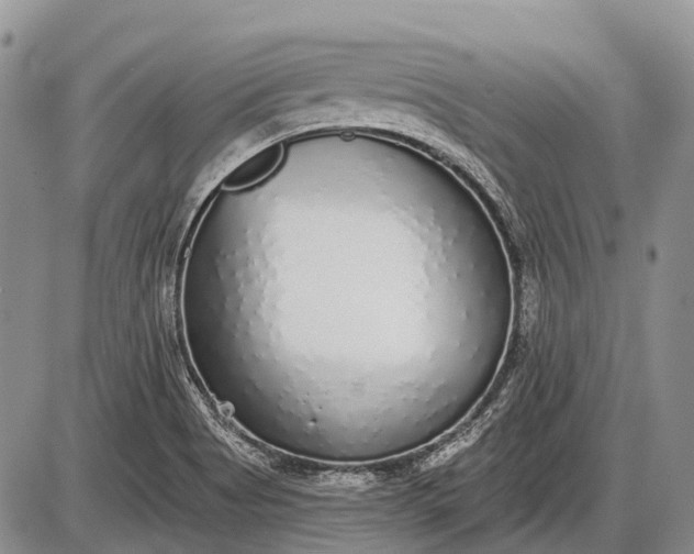 X0000085001513200703191036