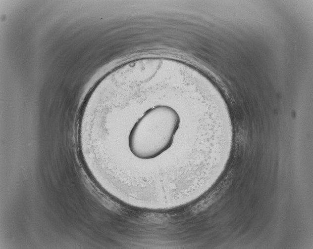 X0000085001514200703191036