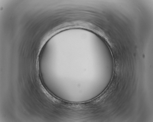 X0000085001516200703191036