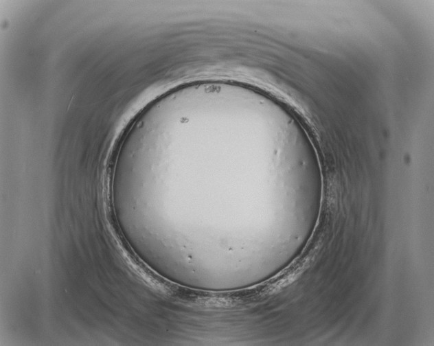 X0000085001517200703191036