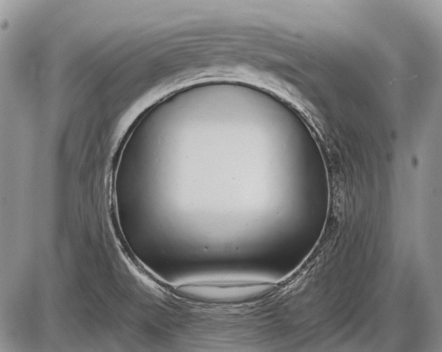 X0000085001519200703191037