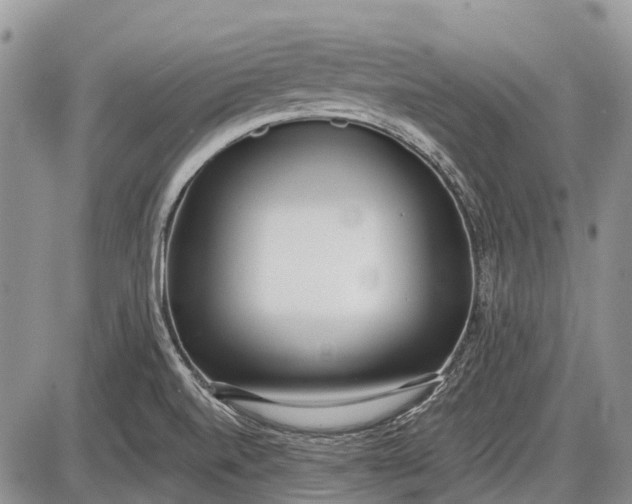 X0000085001520200703191037