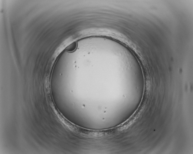 X0000085001521200703191037