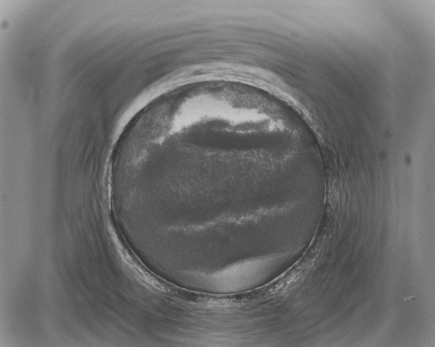 X0000085001522200703191037