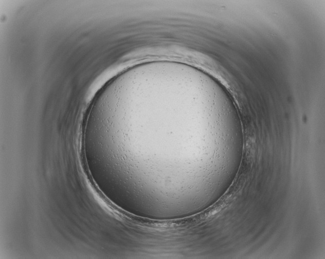 X0000085001523200703191037