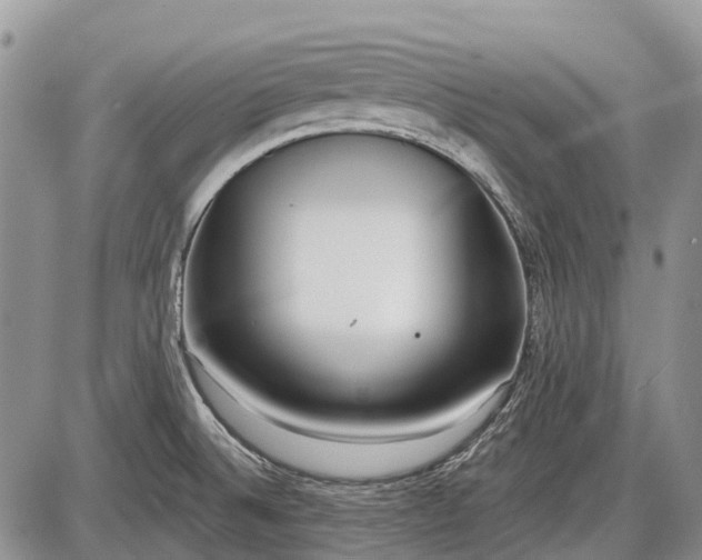 X0000085001524200703191037