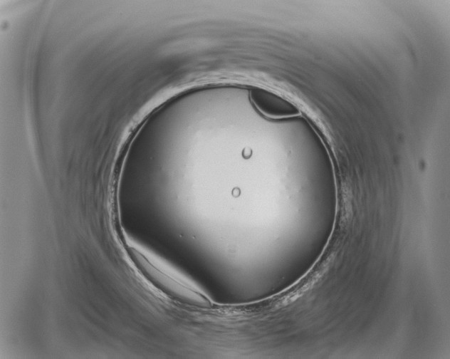 X0000085001525200703191037