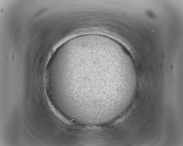 X0000085001526200703191037