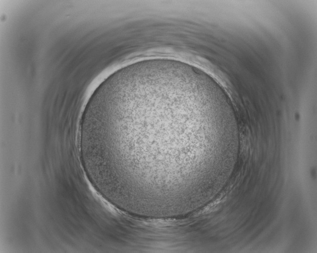 X0000085001527200703191037