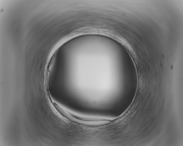 X0000085001528200703191037