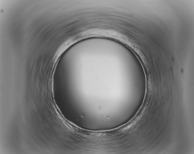 X0000085001529200703191037