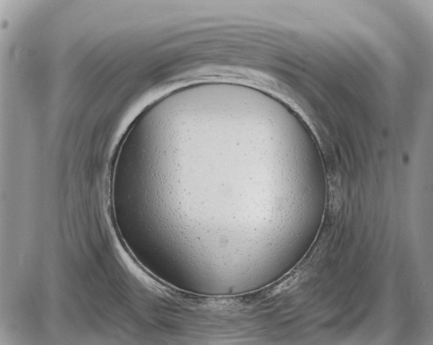 X0000085001531200703191037