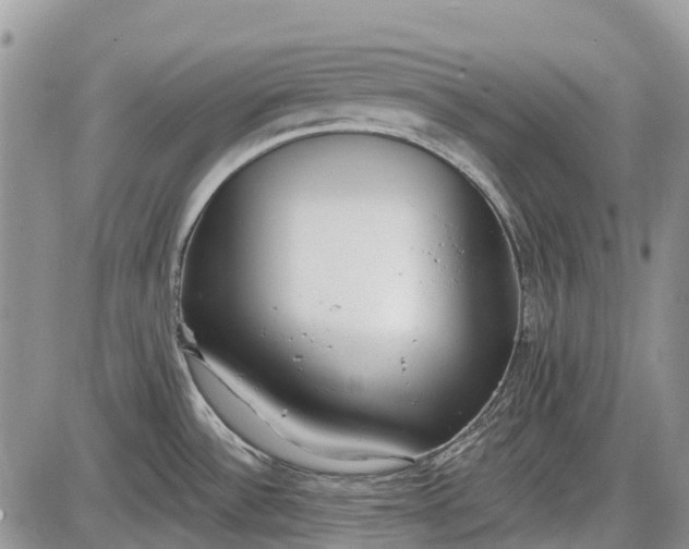 X0000085001532200703191037