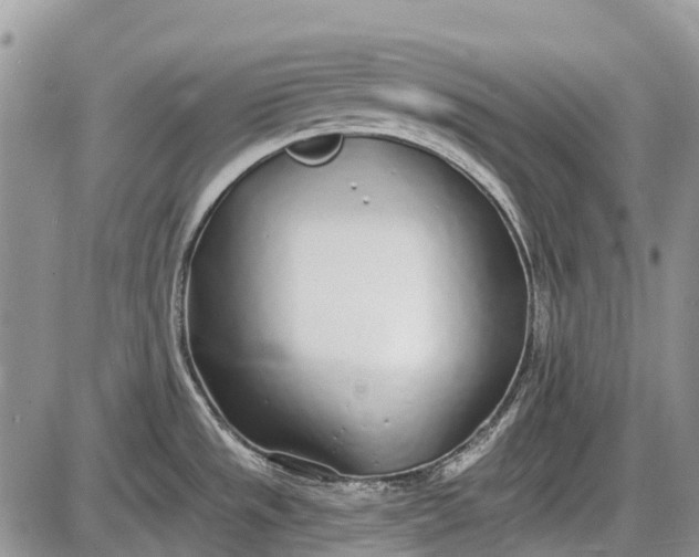 X0000085001533200703191037