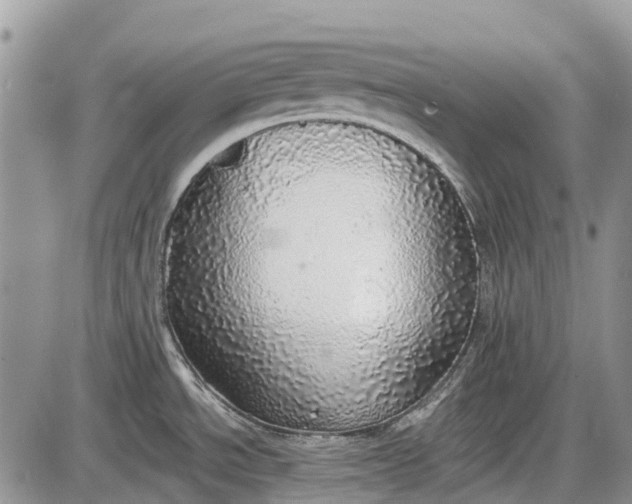 X0000085001534200703191037