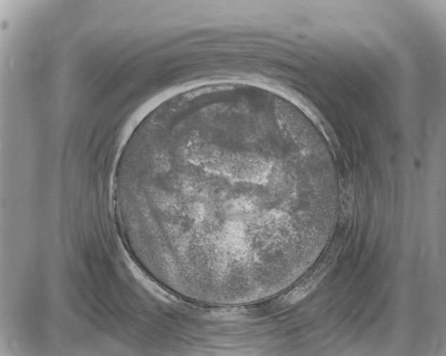 X0000085001535200703191037